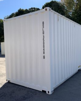 Nuovo container standard da 30 piedi per la spedizione e lo stoccaggio  – Bianco