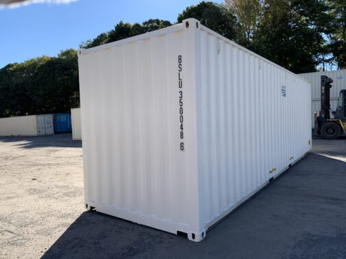 Nuovo container standard da 30 piedi per la spedizione e lo stoccaggio  - Bianco