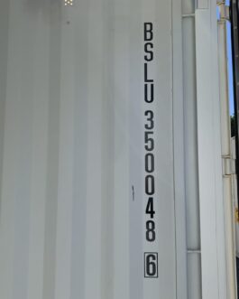 Nuovo container standard da 30 piedi per la spedizione e lo stoccaggio  – Bianco